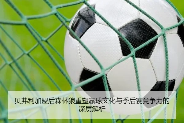 贝弗利加盟后森林狼重塑赢球文化与季后赛竞争力的深层解析